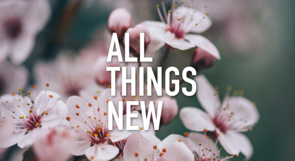 All Things New - Part 1 Image